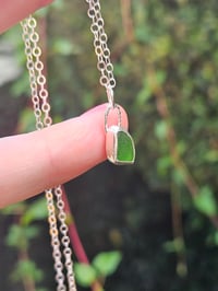 Image 4 of Dainty Cornish Seaglass Necklace - Green 