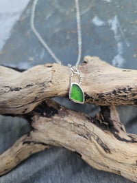 Image 6 of Dainty Cornish Seaglass Necklace - Green 