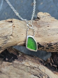 Image 5 of Dainty Cornish Seaglass Necklace - Green 