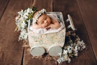 Image 3 of Baby Wagon in differen designs