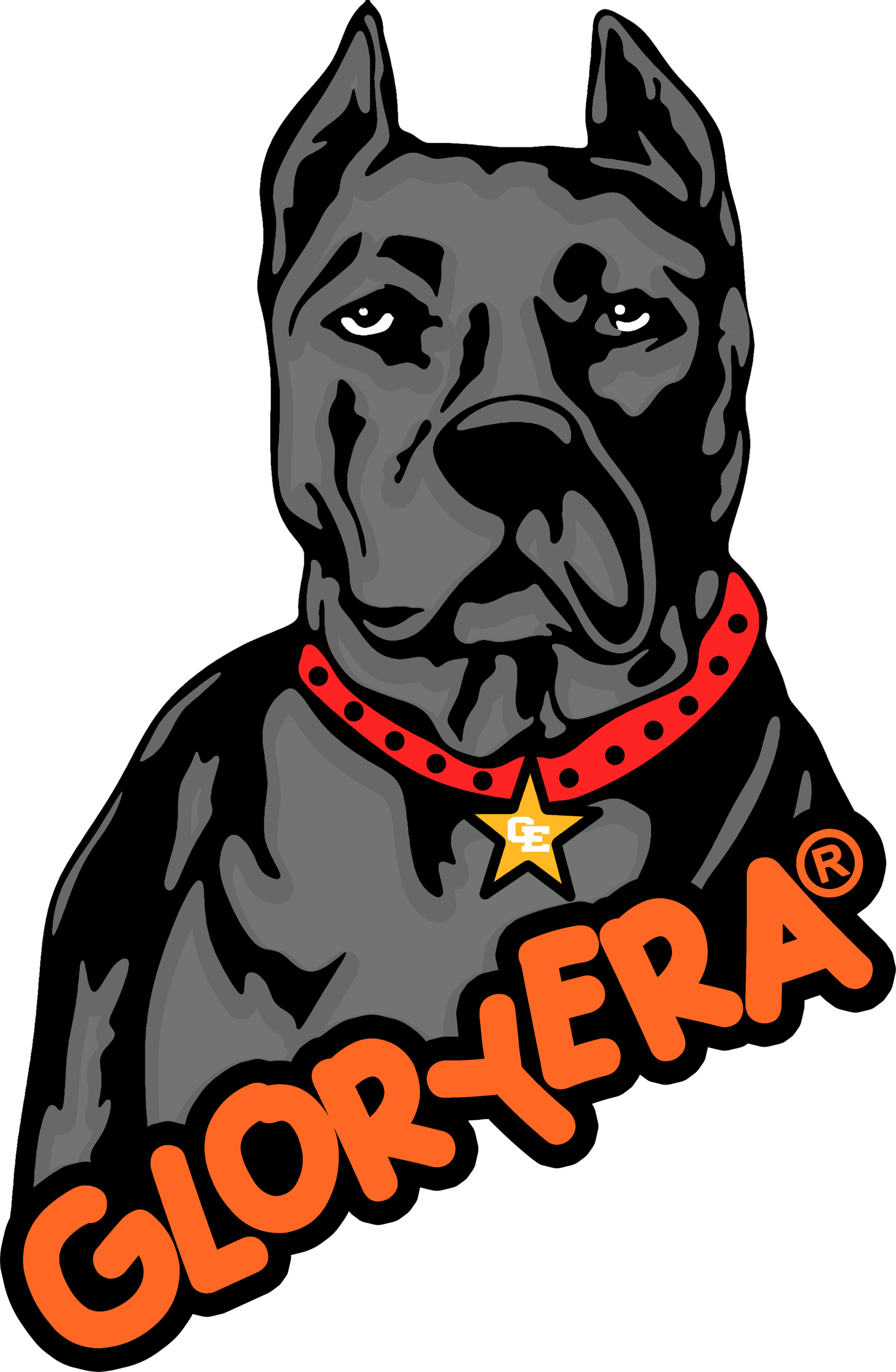 Image of GLORYERA® DOG TEE (HEATHER GRAY/ORANGE)