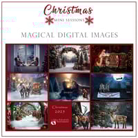 Image 2 of Christmas Mini Sessions 2025