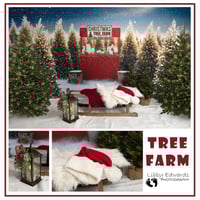 Image 3 of Christmas Mini Sessions 2025