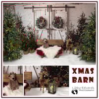 Image 5 of Christmas Mini Sessions 2025