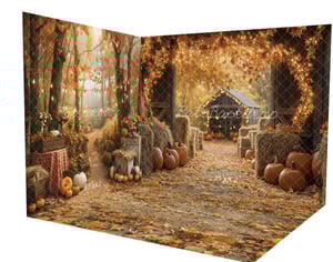 Image of Saturday Oct 4th 2025 Autumn Harvest in at the Barn 