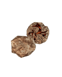 Golden Ember- mommy & me