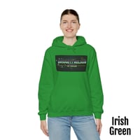 Image 1 of Bridgett Nelson Horror Logo Hoodie (12 colors)