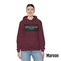 Image 6 of Bridgett Nelson Horror Logo Hoodie (12 colors)