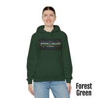 Image 7 of Bridgett Nelson Horror Logo Hoodie (12 colors)