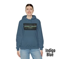 Image 9 of Bridgett Nelson Horror Logo Hoodie (12 colors)