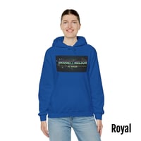 Image 10 of Bridgett Nelson Horror Logo Hoodie (12 colors)