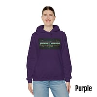 Image 11 of Bridgett Nelson Horror Logo Hoodie (12 colors)