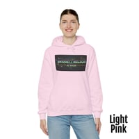 Image 12 of Bridgett Nelson Horror Logo Hoodie (12 colors)