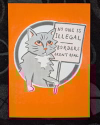 Orange cat print (No one is illegal)