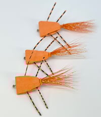 Image 2 of Triangle Bugs