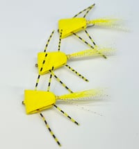Image 3 of Triangle Bugs