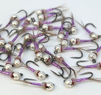 Image 2 of Purple Warrior