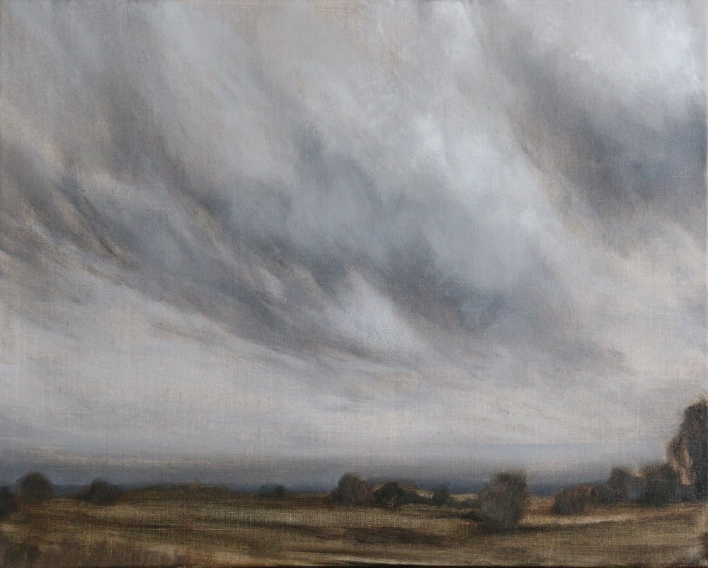 Image of Ciel couvert au-dessus des champs