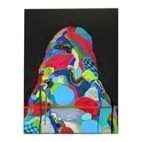 UNREGULATED COLOR MODULE