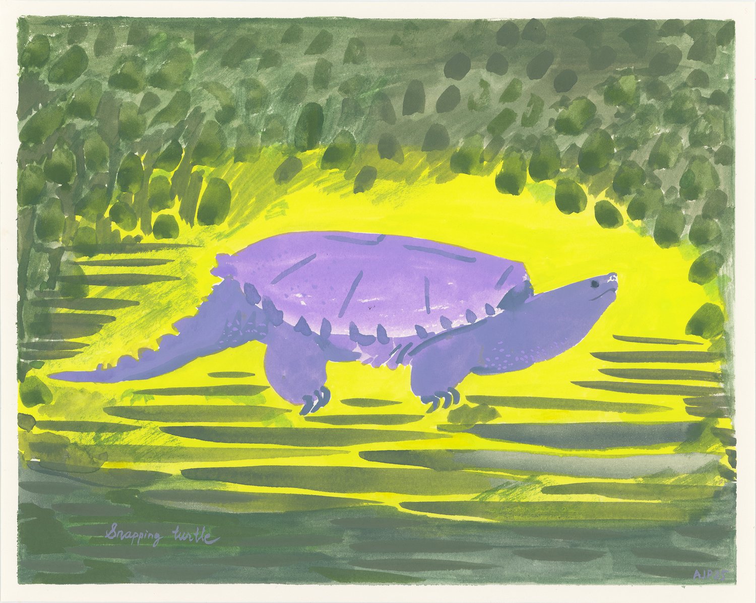 Snapping Turtle