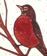 Image 1 of Robin card