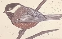 Image 1 of Chickadee card