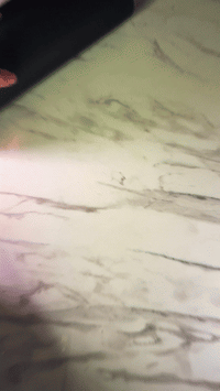 Image 2 of [MEGIK] Playmat + 10pcs Sleeve Set