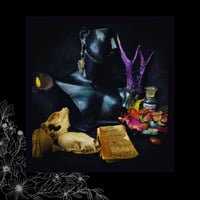Image 2 of ☽ Solanum Nero Argentum ☾
