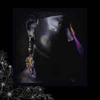 Image 4 of ☽ Solanum Nero Argentum ☾