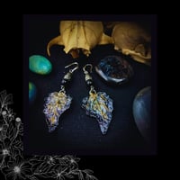 Image 5 of ☽ Solanum Nero Argentum ☾