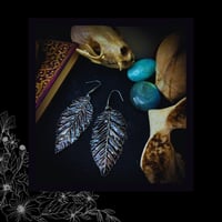Image 3 of ☽ Carpinus Nero ☾