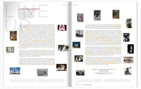 Image 16 of PROCESS 38