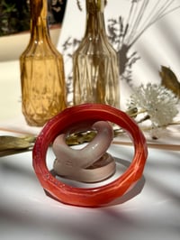 Image 2 of Inès orange sanguine 