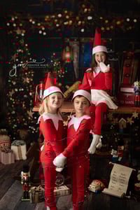 Image 3 of Elf on the Shelf Minis