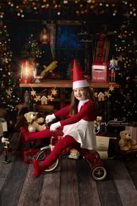 Image 4 of Elf on the Shelf Minis