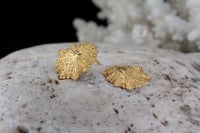 Image 2 of Pendientes Cantábrico