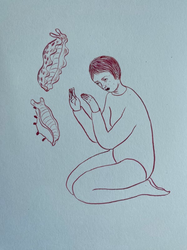 Image of Summoning The Nudibranch