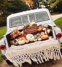 Image 1 of Pumpkin White truck Mini Sessions