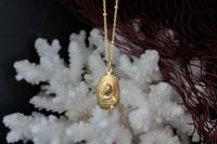 Image 4 of Collar Cantábrico