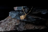 Image 4 of Tobillera Cantábrico