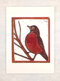 Image 2 of Robin card