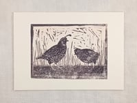 Image 2 of Two Quails card