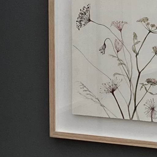 Image of Grasses and Lunaria