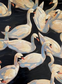 Image 1 of Swan study #1