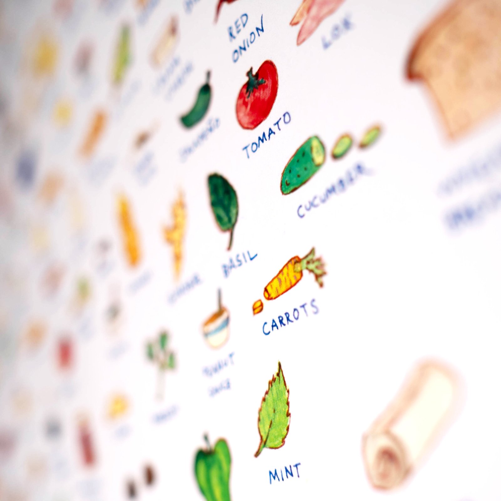 Sandwich Schema | lupinewood collective's store