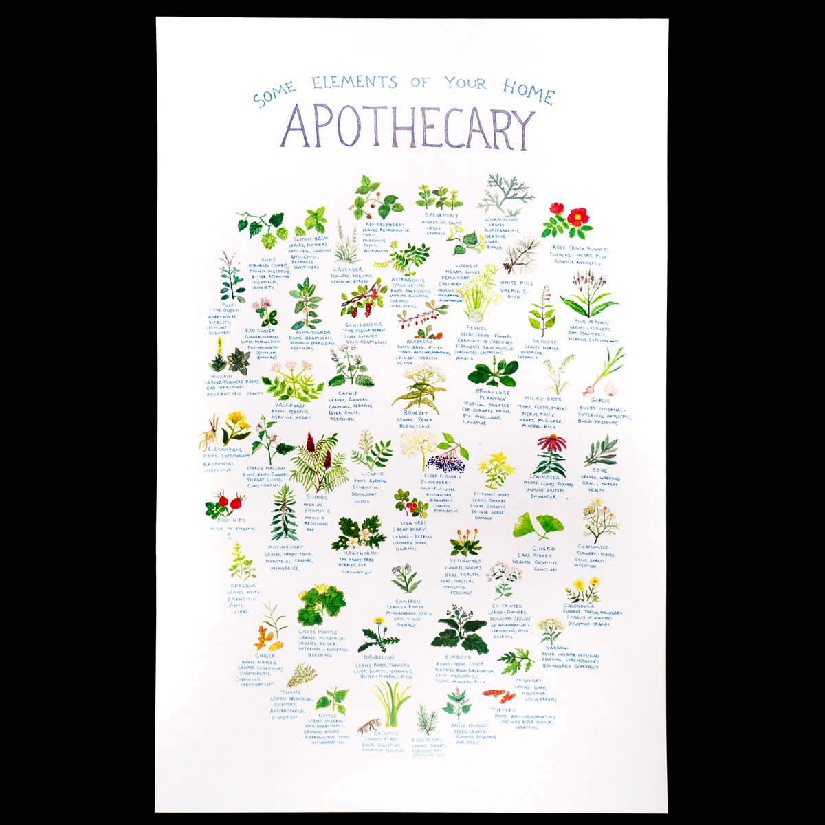 Image of Home Apothecary 