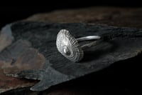 Image 3 of Anillo Cantábrico