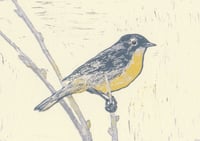 Kirtland Warbler card