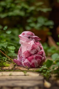 Image 2 of Wild berry animal print gamusino artdoll [IN STOCK]