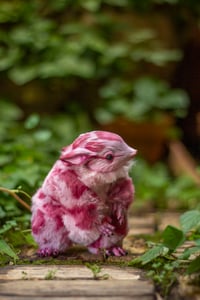 Image 4 of Wild berry animal print gamusino artdoll [IN STOCK]